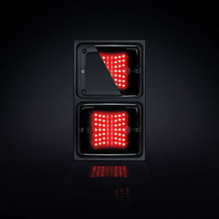IZE LED RAM DUBBEL