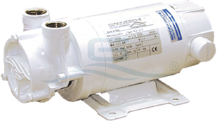 Vattenpump WB500G