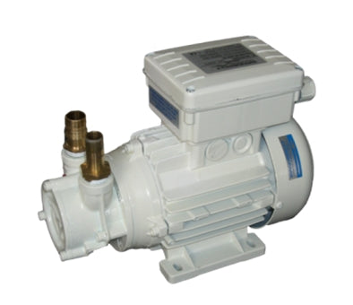 Vattenpump WB1000G
