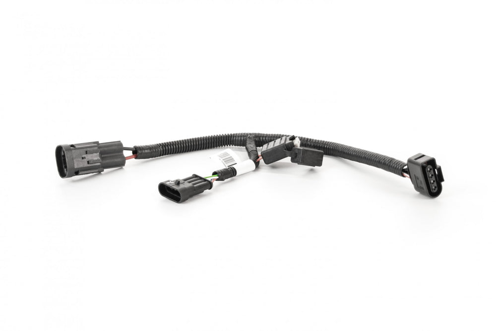 Wire harness with Fuse