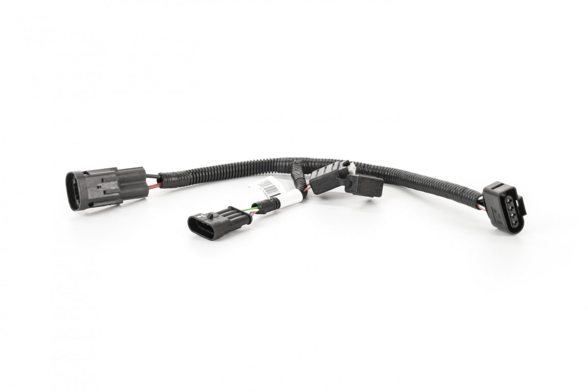 Wire harness with Fuse